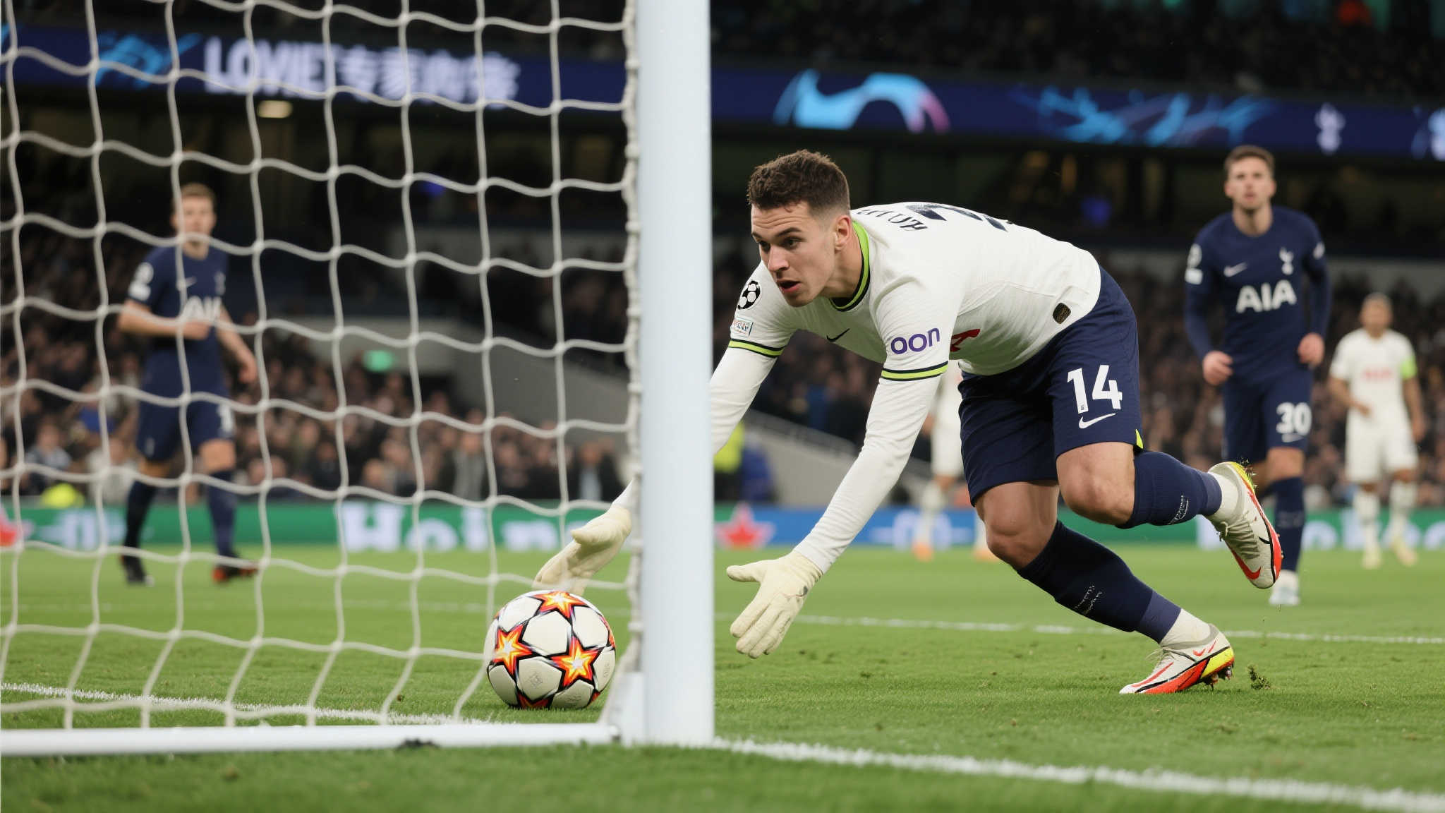 MK体育概况简介